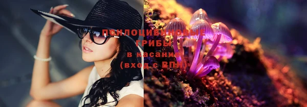 MDMA Белокуриха