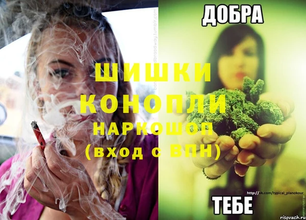 PSILOCYBIN Сосновоборск